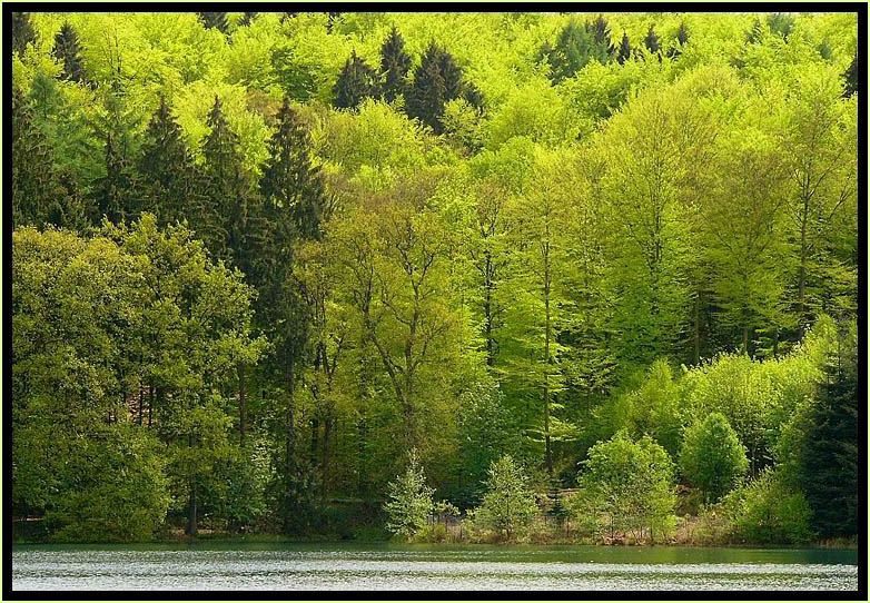 Wermelskirchen, NRW 2005